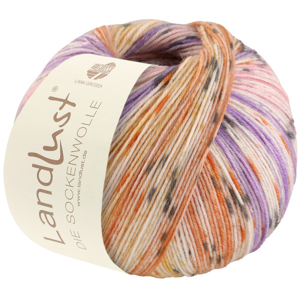 Lana Grossa Landlust die Sockenwolle 513 Ecru/Rosa/Viola/Braunorange/Apricot/Dunkelgrau Gestreift 10